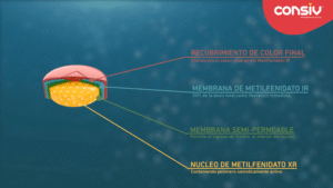Representación de las capas de Consiv 27 mg que muestran la liberación progresiva del metilfenidato en el sistema nervioso central, diseñada para mantener el enfoque y el control del TDAH durante todo el día. Imagen de referencia médica de Farmaneuro Perú.